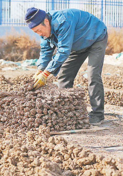 中藥炮製 讓匠心融入創新