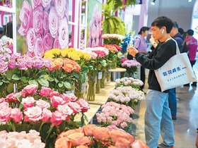 中國昆明國際花卉展舉行