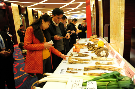 耕田樂:推動土壤減肥生態增效助農增産增收