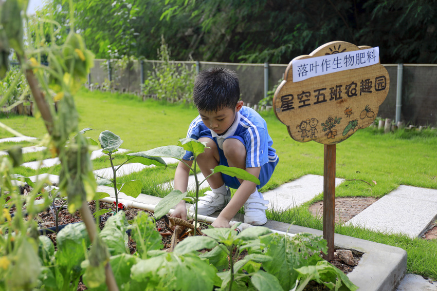 圖片默認標題_fororder_2.2參與校園清潔工作，收集落葉枯枝轉化為生物肥，化作春泥更護菜