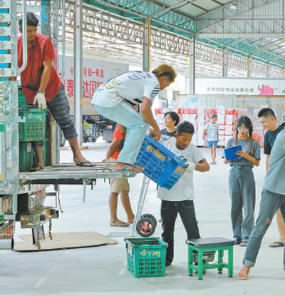 東盟國家水果高效便捷進入中國—— “巨大的中國市場為我們帶來快速發展機遇”