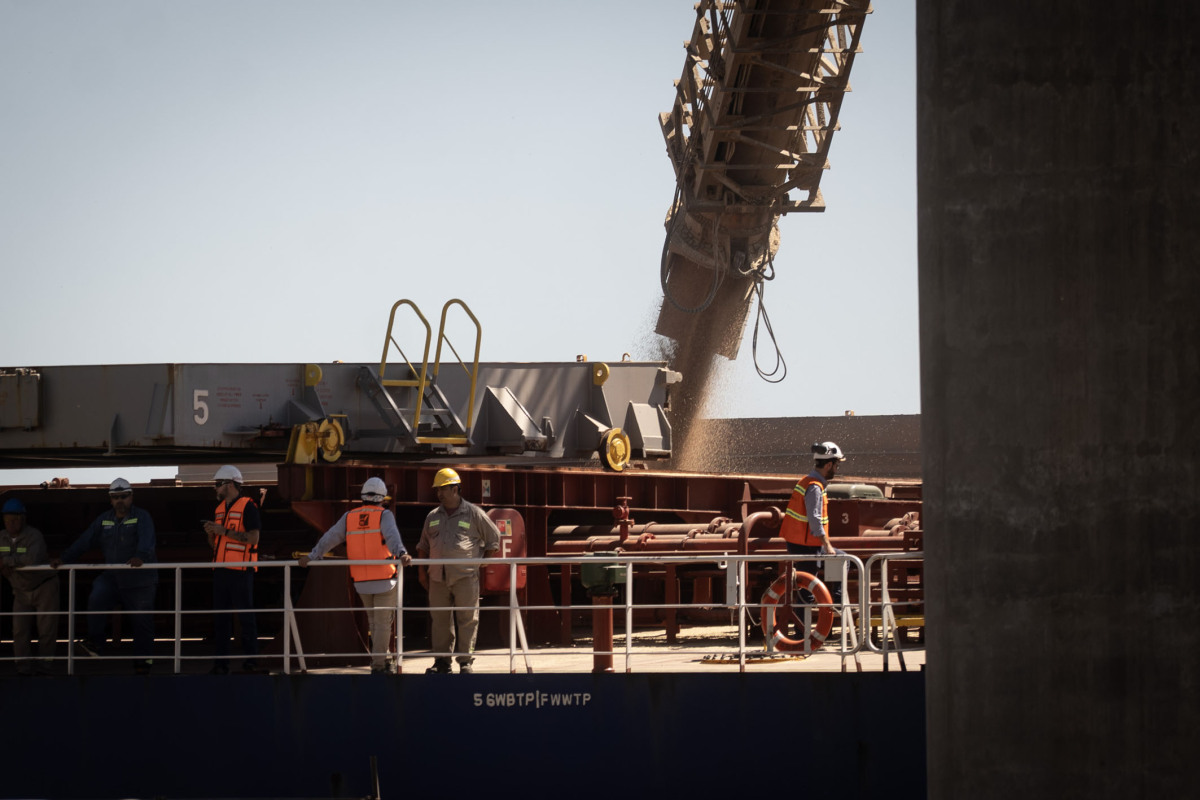 阿根廷首次向中國出口小麥