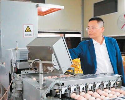 龔光輝：這個海歸“慧”養雞