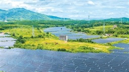 碳中和科學與工程專業： “碳圈”玩家上新了
