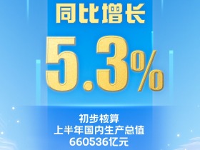 上半年國內生産總值660536億元 同比增長5.3%