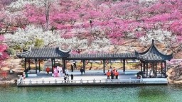 消費市場活力迸發