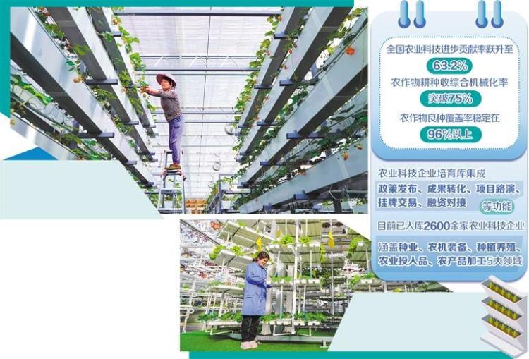 農企科技創新底氣更足