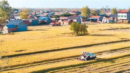 前三季度農業農村經濟運行總體平穩