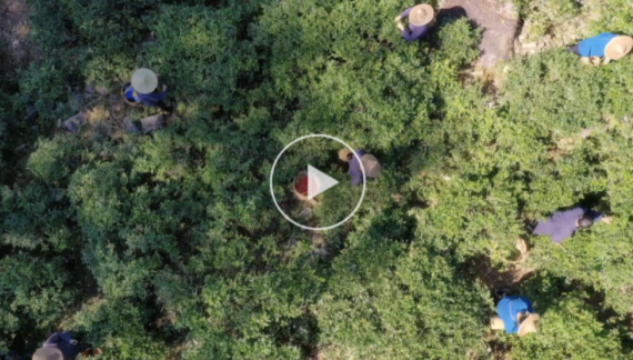 《在南平，看見美麗中國》_fororder_70