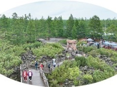 避暑氣候旅遊發展大會在阿爾山舉辦