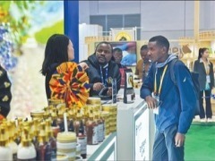 第八屆虹橋國際經濟論壇舉行