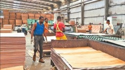 木材産業 為加蓬經濟添動力