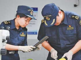 “廣闊的中國市場是我們的新機遇”（零關稅·促共贏）