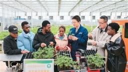 中非多領域合作取得里程碑式的巨大成就