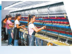 “東綢西固”織就繭絲綢産業新局