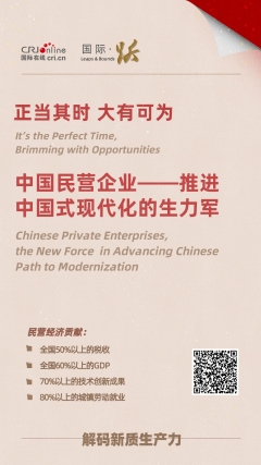 國際 · 躍丨正當其時 大有可為——中國民營經濟熱詞_fororder_熱詞豎