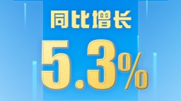 上半年國內生産總值660536億元 同比增長5.3%