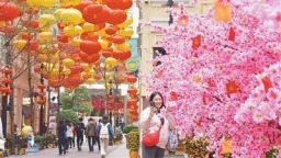 港澳獻上迎春賀歲文旅盛宴