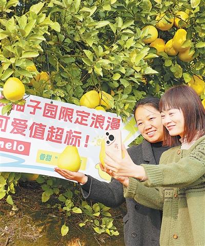 鄉村文旅消費熱