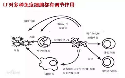 圖片默認標題_fororder_2