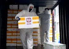拼多多多措並舉 全力支援抗‘疫’一線_fororder_2月1日 拼多多捐贈蔬菜水果抵達襄陽醫院