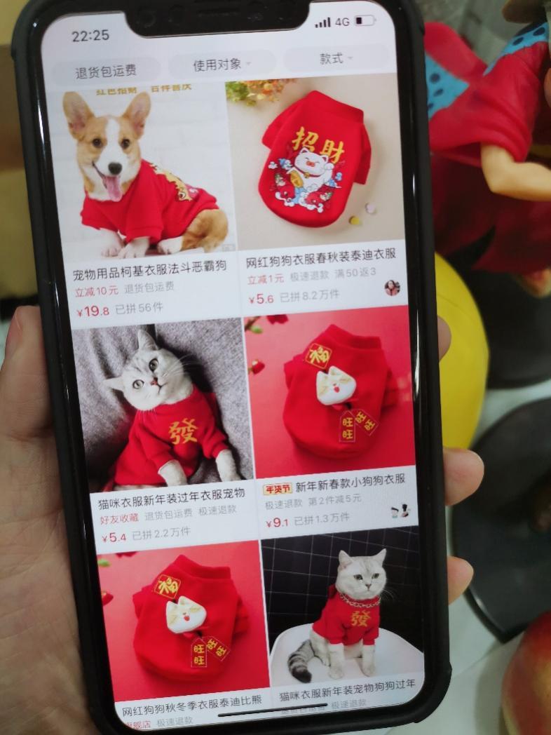 年輕人“就地過年三件套”拼多多熱銷：寵物服飾、健身器材、圖書_fororder_圖片2