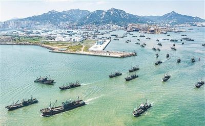 黃渤海海域—— 伏季休漁結束 漁民出海捕撈