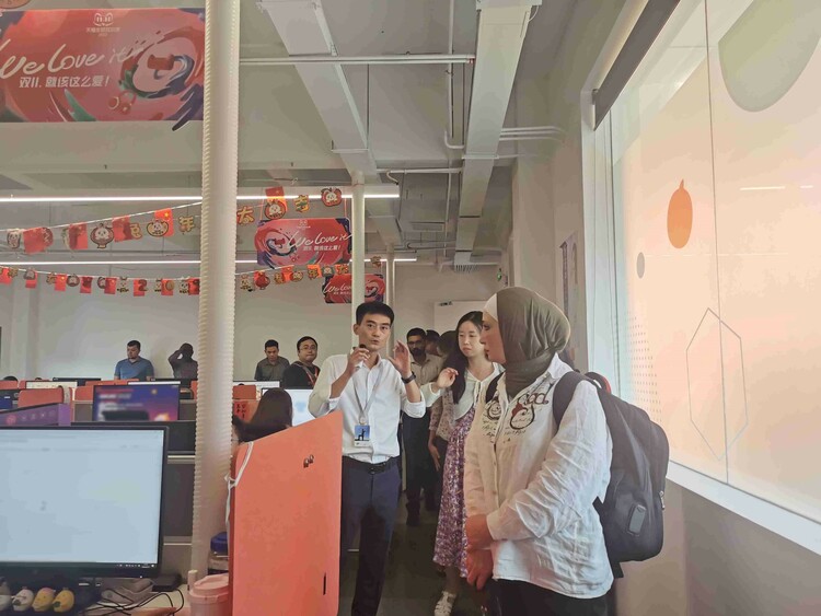 發展中國家民生減貧研修班走進湖南永順 點讚阿裏參與當地鄉村振興_fororder_2
