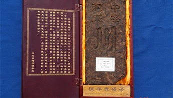 中國茶葉流通協會榮譽會長劉仲華：品牌引領 創新驅動 全力推進赤壁青磚茶産業高品質發展_fororder_WechatIMG35