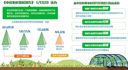 走中國特色的鄉村全面振興之路（聚焦圖）