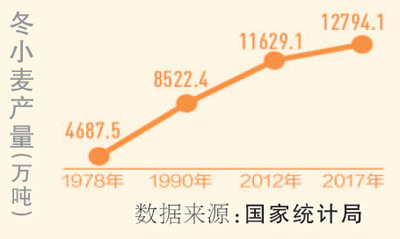 今年冬小麥力爭穩定在3.3億畝以上