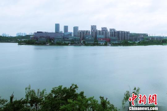 天府新區“獨角獸島”： 打造未來新經濟高地（園區）