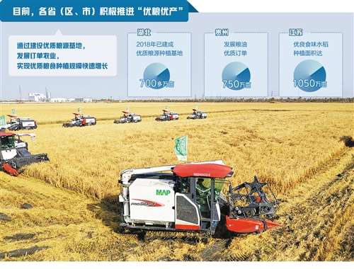 加快打造“中國好糧油”供應鏈