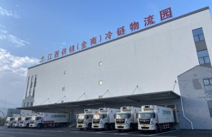 老區菜園子直通灣區菜籃子_fororder_e3a57995717ebe58e0484e2b74d3d9b8