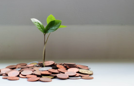 10月末我國外匯儲備規模為33433億美元_fororder_ScreenShot_2025-11-10_092541_422