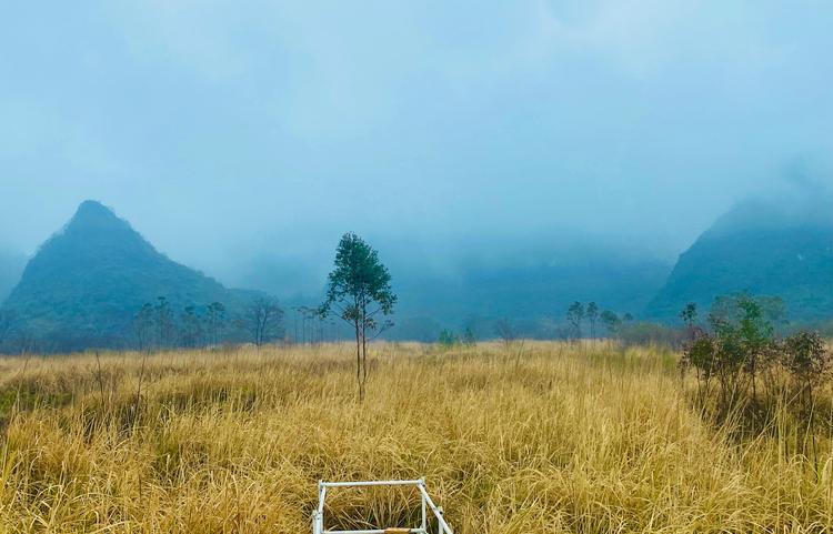 桂林市七星區：煙雨山色景色秀 鄉村美景引客來_fororder_3