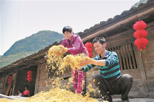 金銀花開，石漠不再