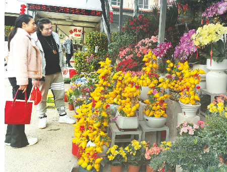 姹紫嫣紅迎新春 花卉市場銷售旺