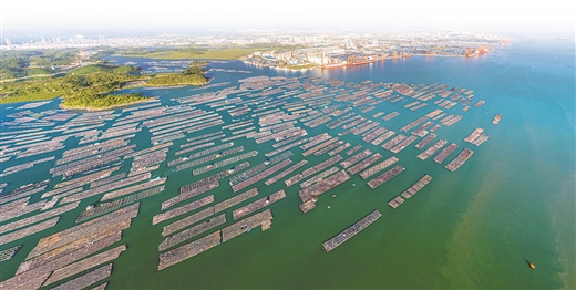 新標準護航海水養殖轉型升級