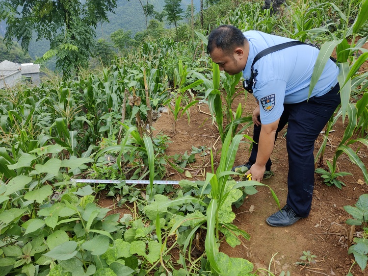 澄江清水化著淚——追記都安瑤族自治縣公安局民警李燮