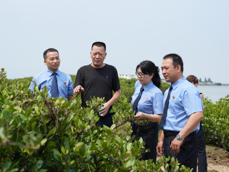 北海合浦：公益訴訟檢察織密萬畝紅樹林“保護網”