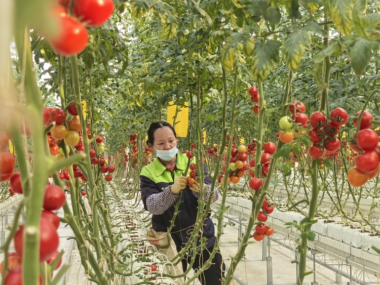 2025年中國廣西與越南邊境四省農業農村廳長聯席會議舉行