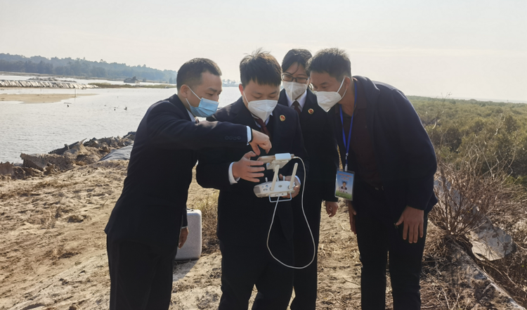 北海合浦：公益訴訟檢察織密萬畝紅樹林“保護網”