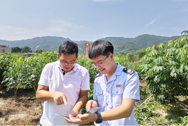 廣西興業縣全面落實落細便農利企稅費政策 護航食用木薯産業發展壯大