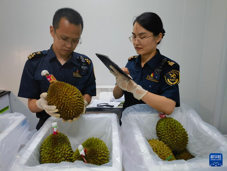 榴蓮、火鍋、茶飲……中國—東盟深化合作豐富民眾味蕾