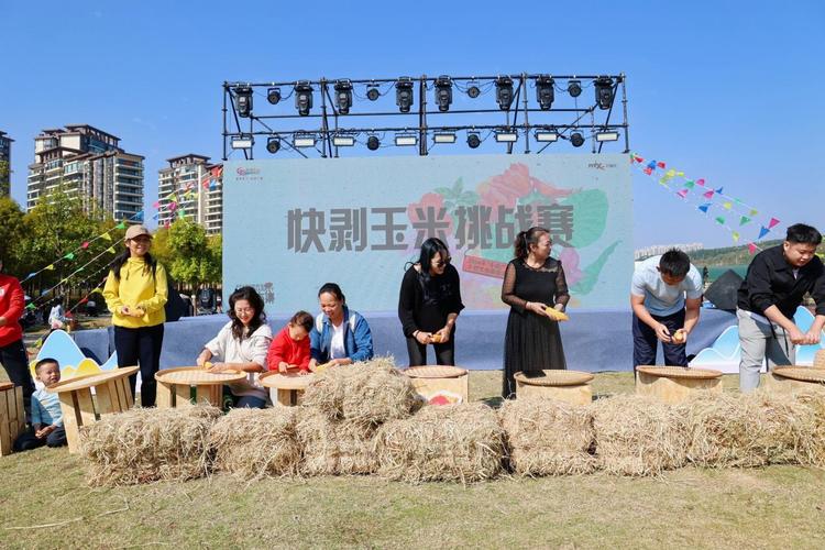 廣西舉辦鄉村溫暖露營生活節