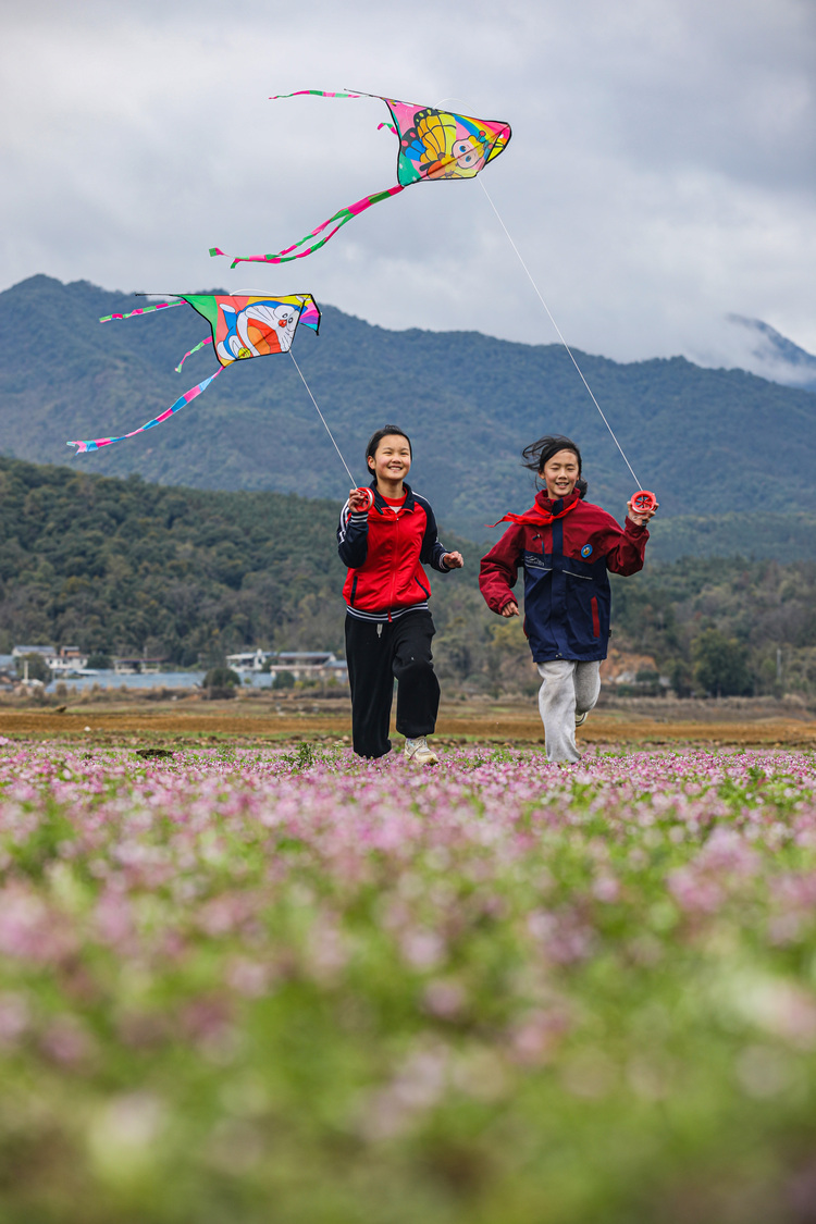 桂林靈川：紫雲漫卷千重浪 童趣飛揚萬點春_fororder_3