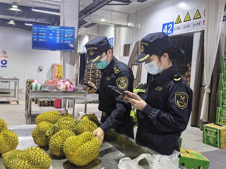 廣西憑祥：高效通關助力口岸經濟跑出“加速度”