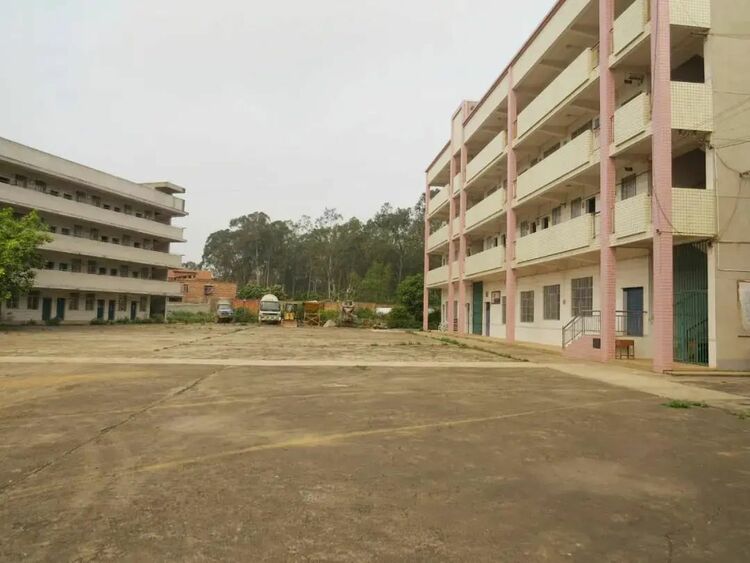 新校園如雨後春筍般投入使用 南寧市良慶區基礎教育努力向強區邁進