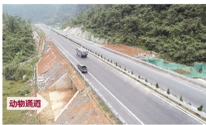 年底廣西4條高速路通車 新增通往東盟國家大通道